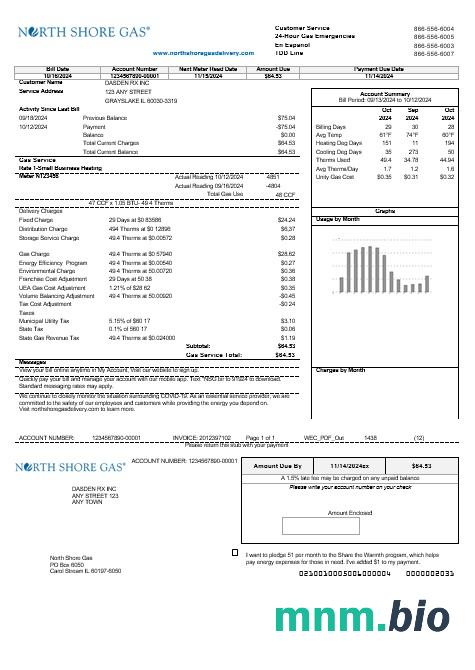 USA Illinois North Shore Gas rachunek za usługi komunalne szablon w formacie Word i PDF